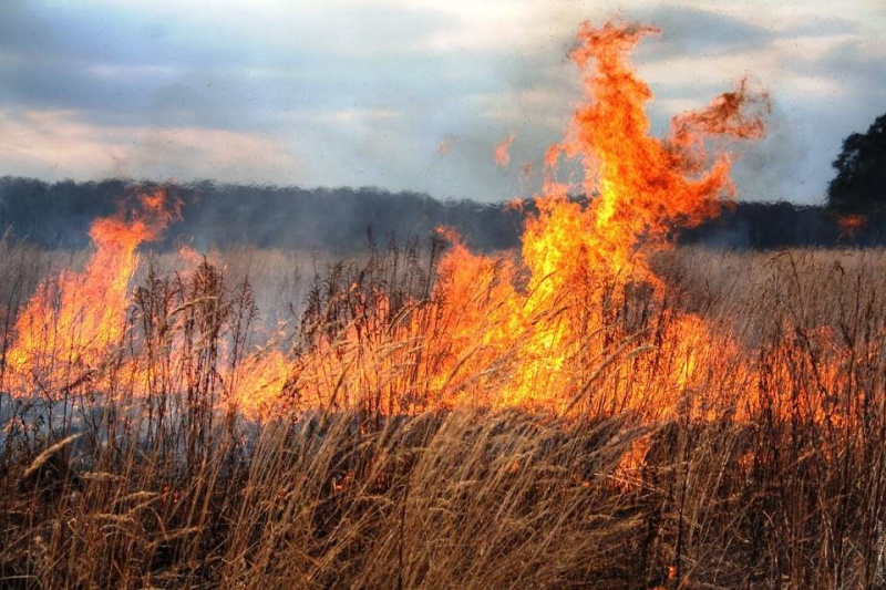 В Оренбуржье сохраняется  высокая пожарная опасность